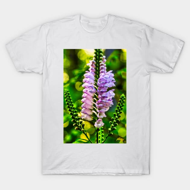 Obedient Plant 1 T-Shirt by Robert Alsop